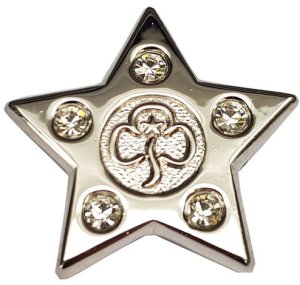 image relating to Guiding Star Award