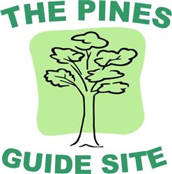 image relating to The Pines Quiz Night