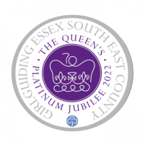 image relating to Queen’s Platinum Challenge Badge