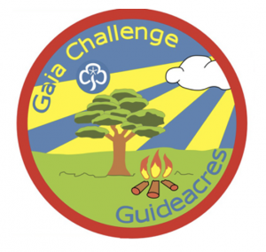 image relating to Gaia Challenge