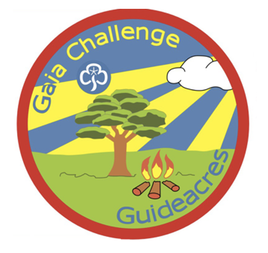 Gaia Challenge Badge