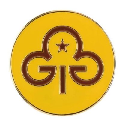 brownie promise badge 23