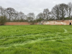 image relating to The Walled Garden