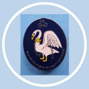 image relating to County Good Service Certificate and Brooch
