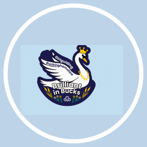 image relating to Brilliant in Bucks