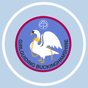image relating to Badge Orders